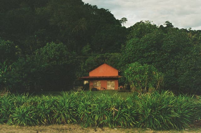 The red hut in the bush